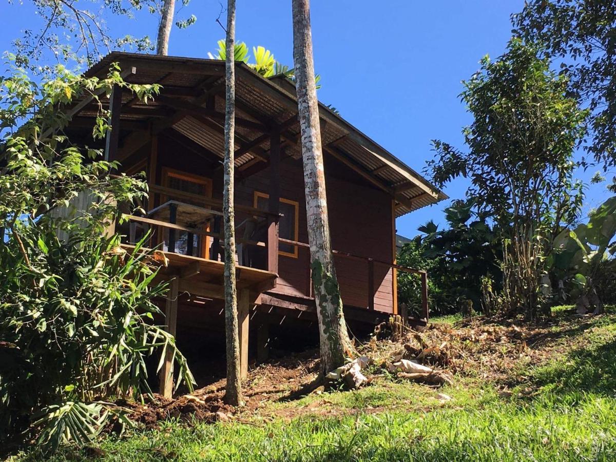 Bella Vista Ranch Ecolodge Turrialba Exteriér fotografie