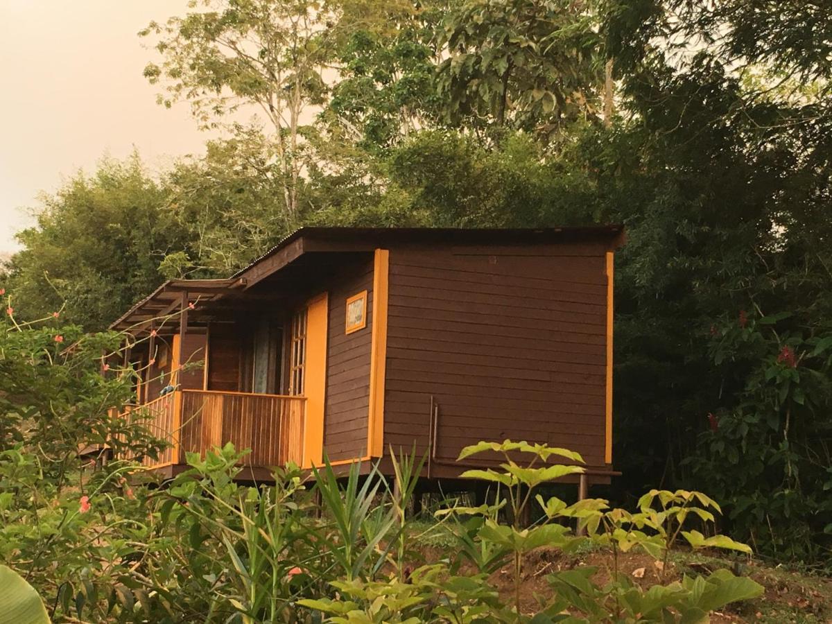 Bella Vista Ranch Ecolodge Turrialba Exteriér fotografie